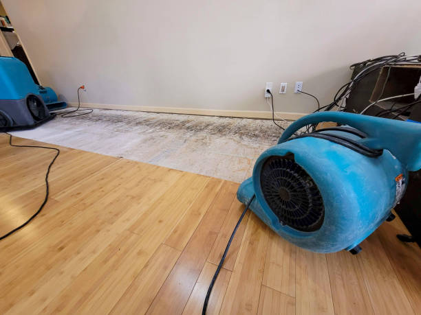 Professional Water Damage Repair technician working in Kennewick, WA